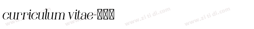 curriculum vitae字体转换